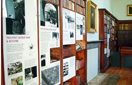 Fulham Palace Museum library interpretation