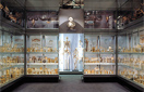 Hunterian Museum 'Crystal' gallery